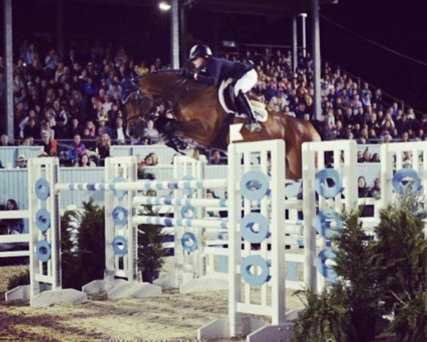 jumper Chanel B 2 (Mecklenburg, 2005, from Cellestial)