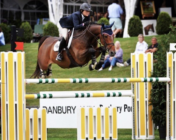 jumper Don Juan (Belgian Warmblood, 2003, from Flamenco de Semilly)