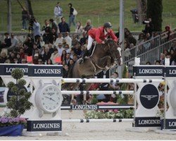 stallion Echo van het Spieveld (Belgian Warmblood, 2004, from Heartbreaker)