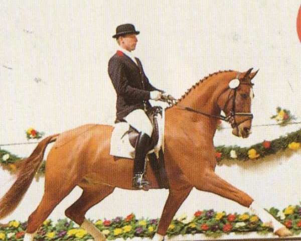 horse April The First (Oldenburg, 1990, from Akzent II)