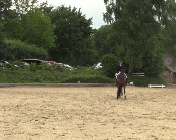Reitturnier Schwerte-Gut Kückshausen 2025