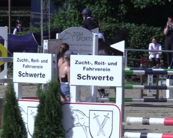 Reitturnier Schwerte-Gut Kückshausen 2025