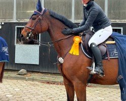 Zuchtstute Corienne (Hannoveraner, 2017, von Comme il Faut)