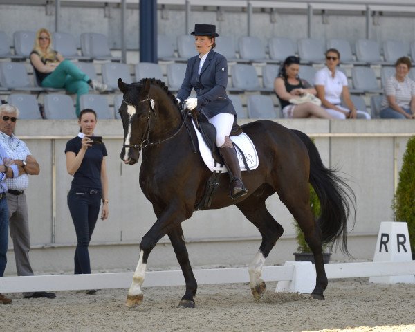 horse Creme de Cassis 2 (Oldenburg, 2001, from Curacao I)