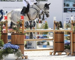 jumper Chrysander H (Holsteiner, 2008, from Cachas)