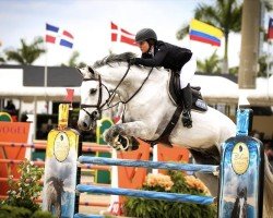 jumper Fair Field (KWPN (Royal Dutch Sporthorse), 2010, from Zirocco Blue)