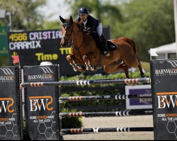 jumper Caramix (Swedish Warmblood, 2017, from Contant Q 1203)