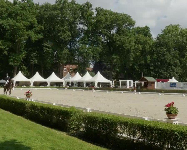 Reitturnier Klosterhof Medingen (Summer Edition) 2025