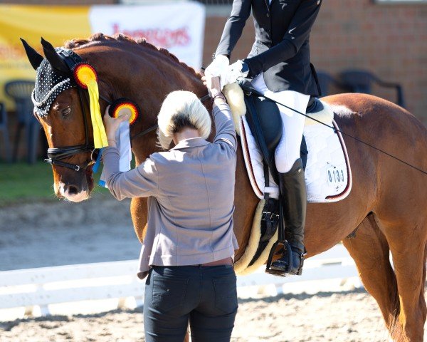 dressage horse Total Genial 2 (KWPN (Royal Dutch Sporthorse), 2020, from Farrell)