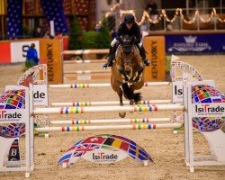 jumper Little Girls du Plein Vent (Belgium Sporthorse, 2017, from Kannan)