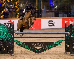 jumper Baby Girl Plein Vent Z (Zangersheide riding horse, 2017, from Balou du Rouet)