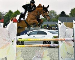 jumper Elite van de Kasteeldreef Z (Zangersheide riding horse, 2017, from Emerald van 't Ruytershof)