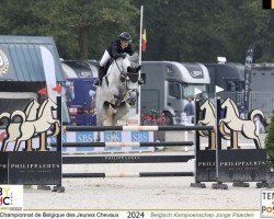 jumper Anais Royal Z (Zangersheide riding horse, 2018, from Asca Z)