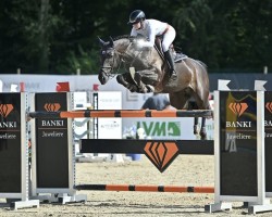 broodmare Dua Lipa M (Oldenburg show jumper, 2016, from Dust Devil 2)