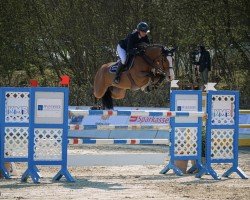 jumper Copacabana 59 (Oldenburg, 2015, from Casallco)