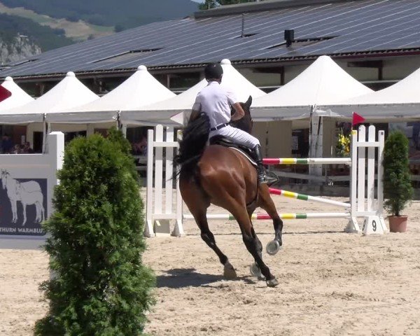 Reitturnier Balsthal 2025