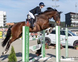jumper Calitha Cc (Oldenburg, 2009, from Calido I)
