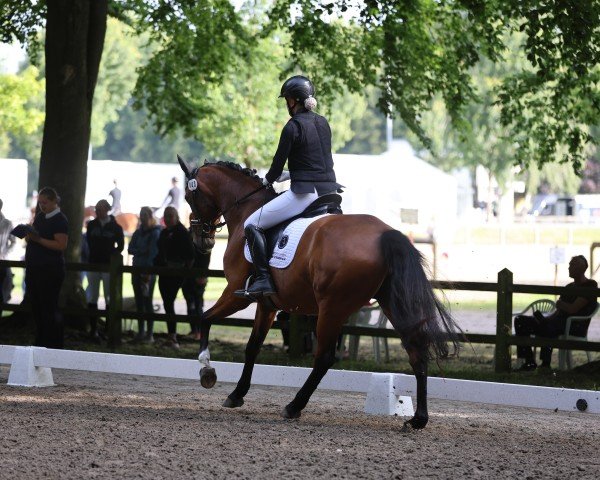 dressage horse Rocco's Ronja (Hanoverian, 2017, from Rocco Granata)