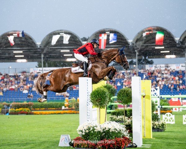 jumper Emeraldo 4 (Oldenburg show jumper, 2016, from Emerald van 't Ruytershof)