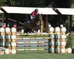 jumper Lady D (KWPN (Royal Dutch Sporthorse), 2016, from Eldorado van de Zeshoek)