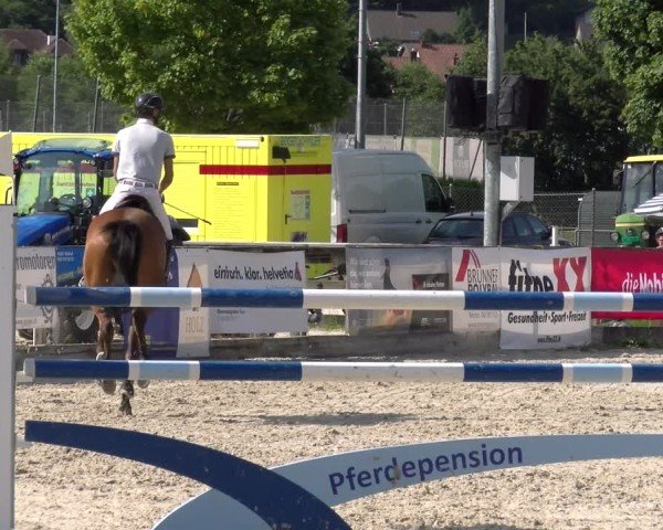Reitturnier Balsthal 2025