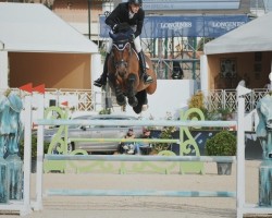 jumper I'm Special V (KWPN (Royal Dutch Sporthorse), 2013, from I'm Special de Muze)