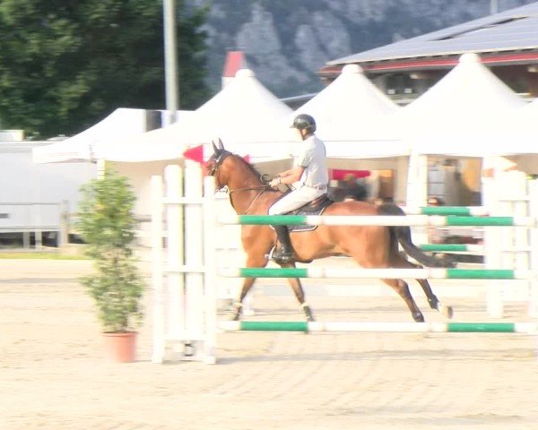 Reitturnier Balsthal 2025