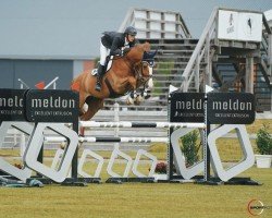 jumper Karenzo H (KWPN (Royal Dutch Sporthorse), 2015, from Arezzo VDL)