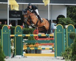 jumper Gelano (KWPN (Royal Dutch Sporthorse), 2011, from Eldorado van de Zeshoek)