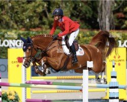 jumper Hera Fbh (KWPN (Royal Dutch Sporthorse), 2012, from Comme il Faut)