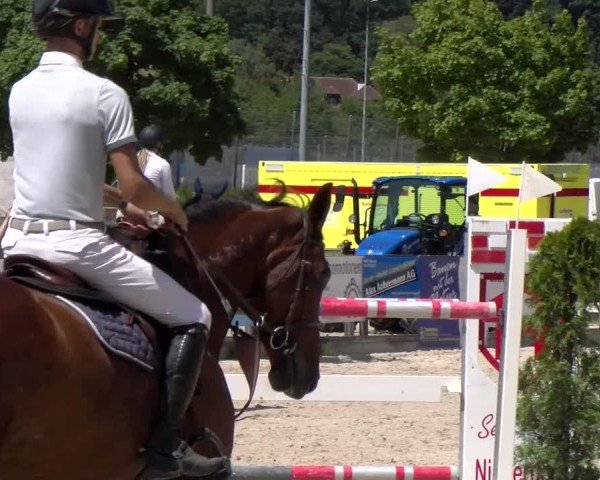 Reitturnier Balsthal 2025