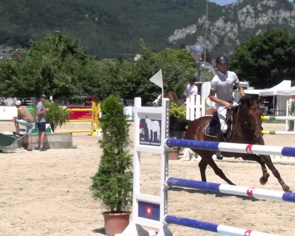 Reitturnier Balsthal 2025