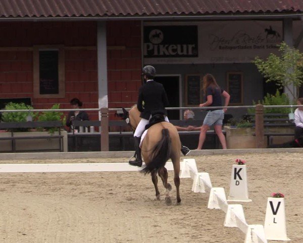 Reitturnier Uder, Reitanlage Kobold 2025