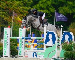 jumper Quelle Reve van het Genelaar (Belgian Warmblood, 2016, from Malito de Reve)