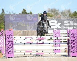 jumper Wincenta PS (Oldenburg, 2016, from Winningmood van de Arenberg)