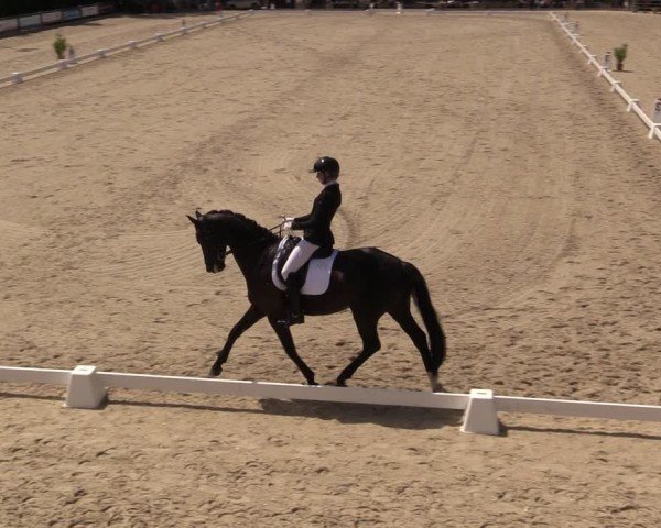 Reitturnier Uder, Reitanlage Kobold 2025