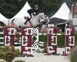 jumper Umani de Liebri Z (Zangersheide riding horse, 2017, from Untouchable)