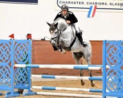 stallion Chembassy (Hanoverian, 2018, from Chacoon Blue)