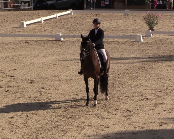 Reitturnier Uder, Reitanlage Kobold 2025