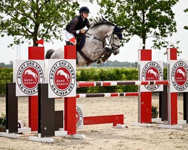 broodmare Clariclaire LW (Holsteiner, 2017, from Clarimo Ask)