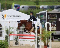jumper Azuro 107 (German Warmblood, 2002)