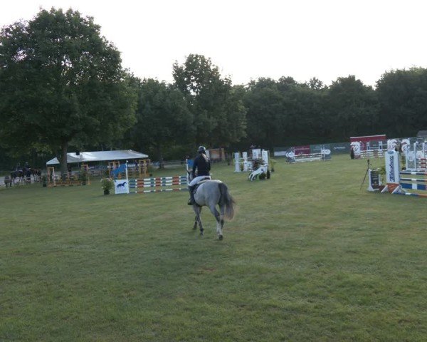 Reitturnier Wohlesbostel 2025