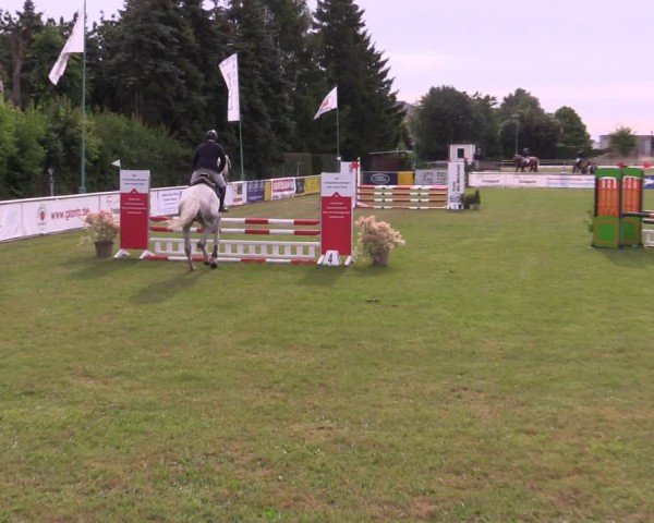 Reitturnier Dersekow 2025