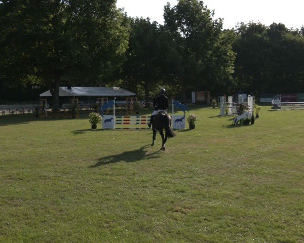 Reitturnier Wohlesbostel 2025