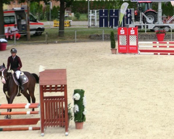Reitturnier Ingolstadt-Hagau/Obb. 2025