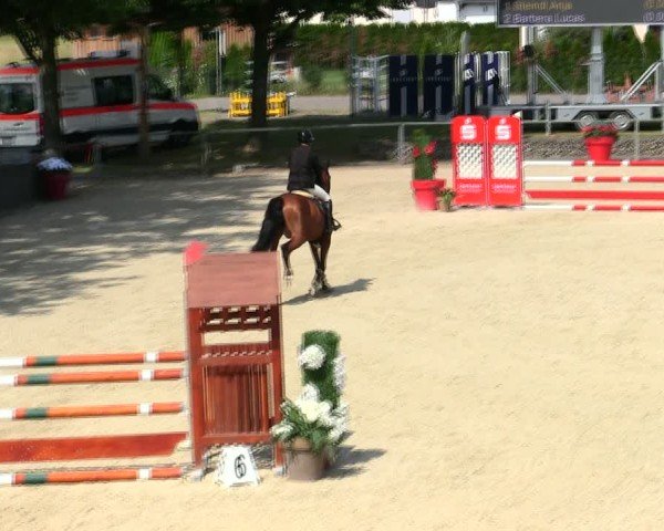 Reitturnier Ingolstadt-Hagau/Obb. 2025
