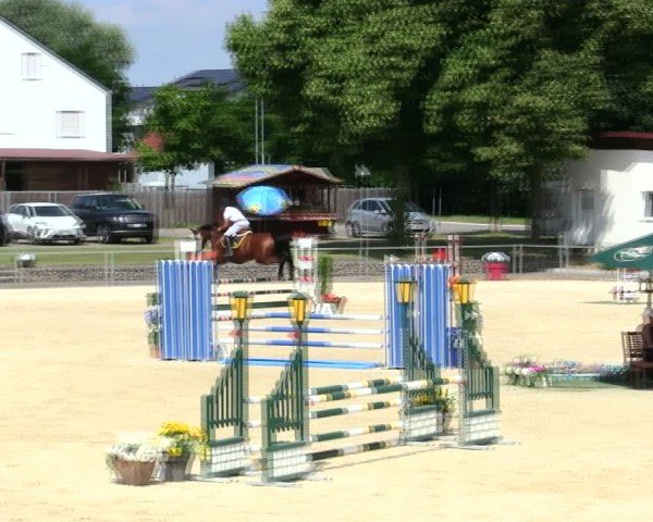 Reitturnier Ingolstadt-Hagau/Obb. 2025