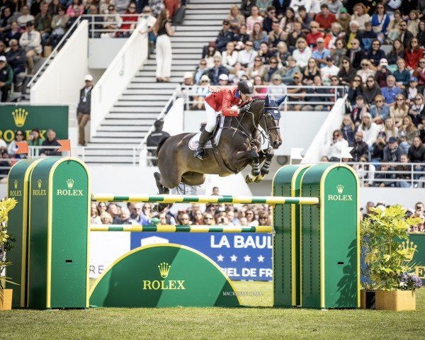 jumper Imperial HBF (KWPN (Royal Dutch Sporthorse), 2013, from Glasgow van het Merelsnest)