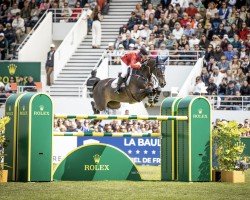 jumper Imperial HBF (KWPN (Royal Dutch Sporthorse), 2013, from Glasgow van het Merelsnest)