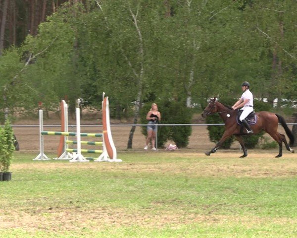 Reitturnier Niederwerbig 2025